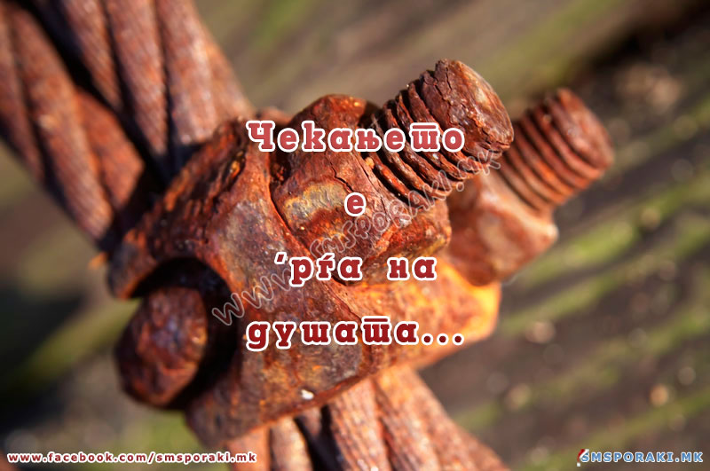 Чекањето е рѓа