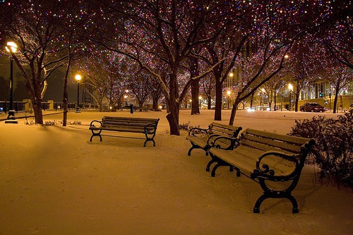 Паркови за нова година