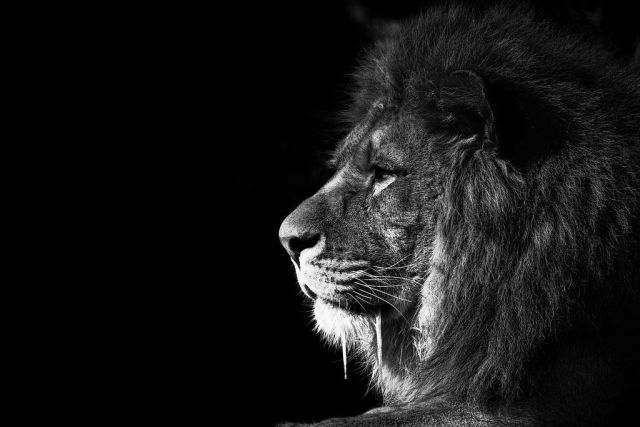 Црно бели фотографии 12