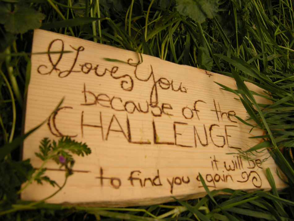 Поради предизвикот во љубовта