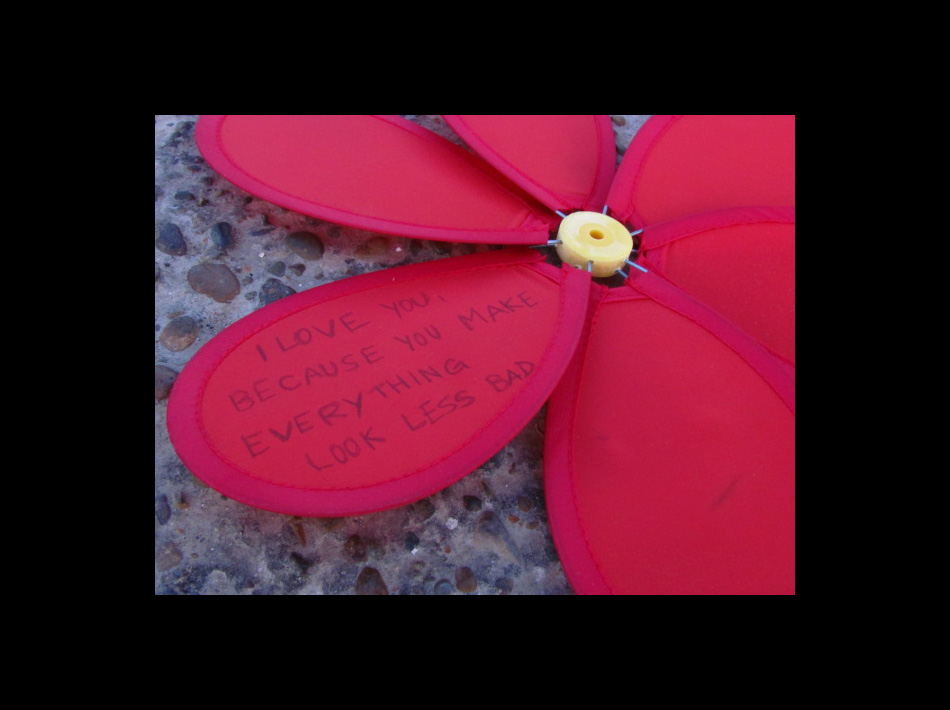 Те сакам бидејќи правиш се да биде прекрасно